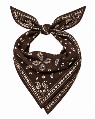 Paisley Bandana Scarf- Brown